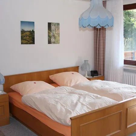 Haus Gruene Insel - * Altenau (Lower-Saxony)