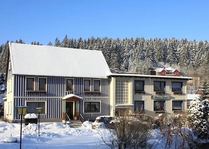 Haus Gruene Insel - * 阿尔特瑙