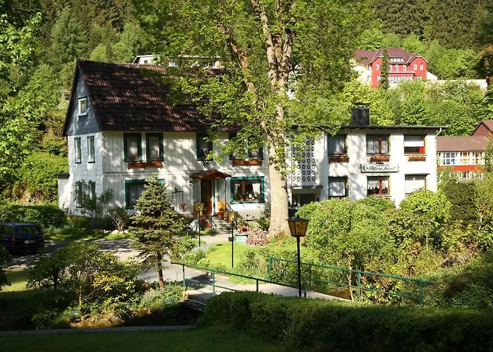 公寓 Haus Gruene Insel - 阿尔特瑙