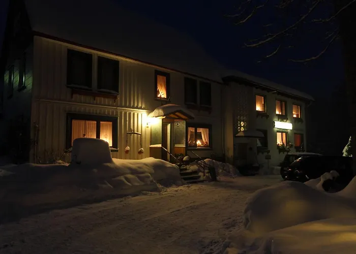 Haus Gruene Insel - 公寓 *