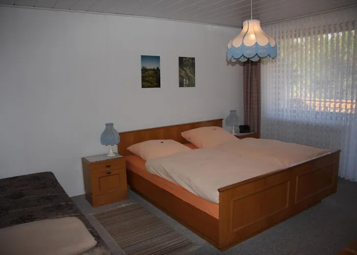 公寓 Haus Gruene Insel - *