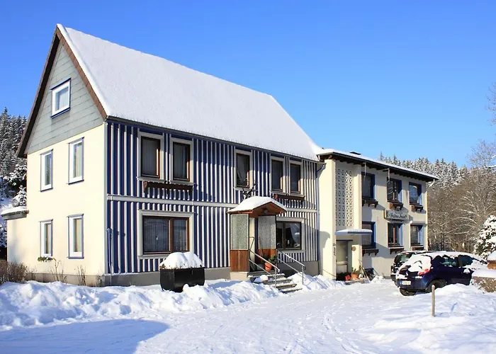 Haus Gruene Insel - 公寓